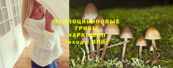 spice Белокуриха