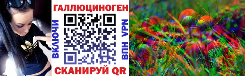 продажа наркотиков  Шатура  Псилоцибиновые грибы мухоморы 